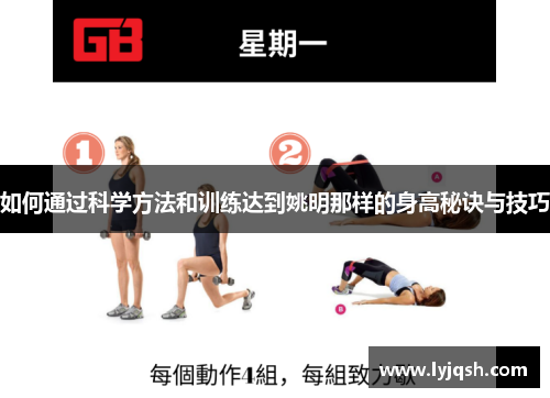 如何通过科学方法和训练达到姚明那样的身高秘诀与技巧
