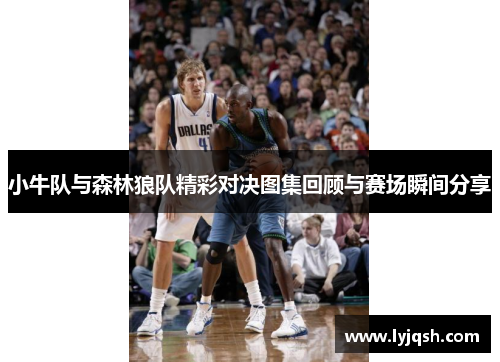小牛队与森林狼队精彩对决图集回顾与赛场瞬间分享